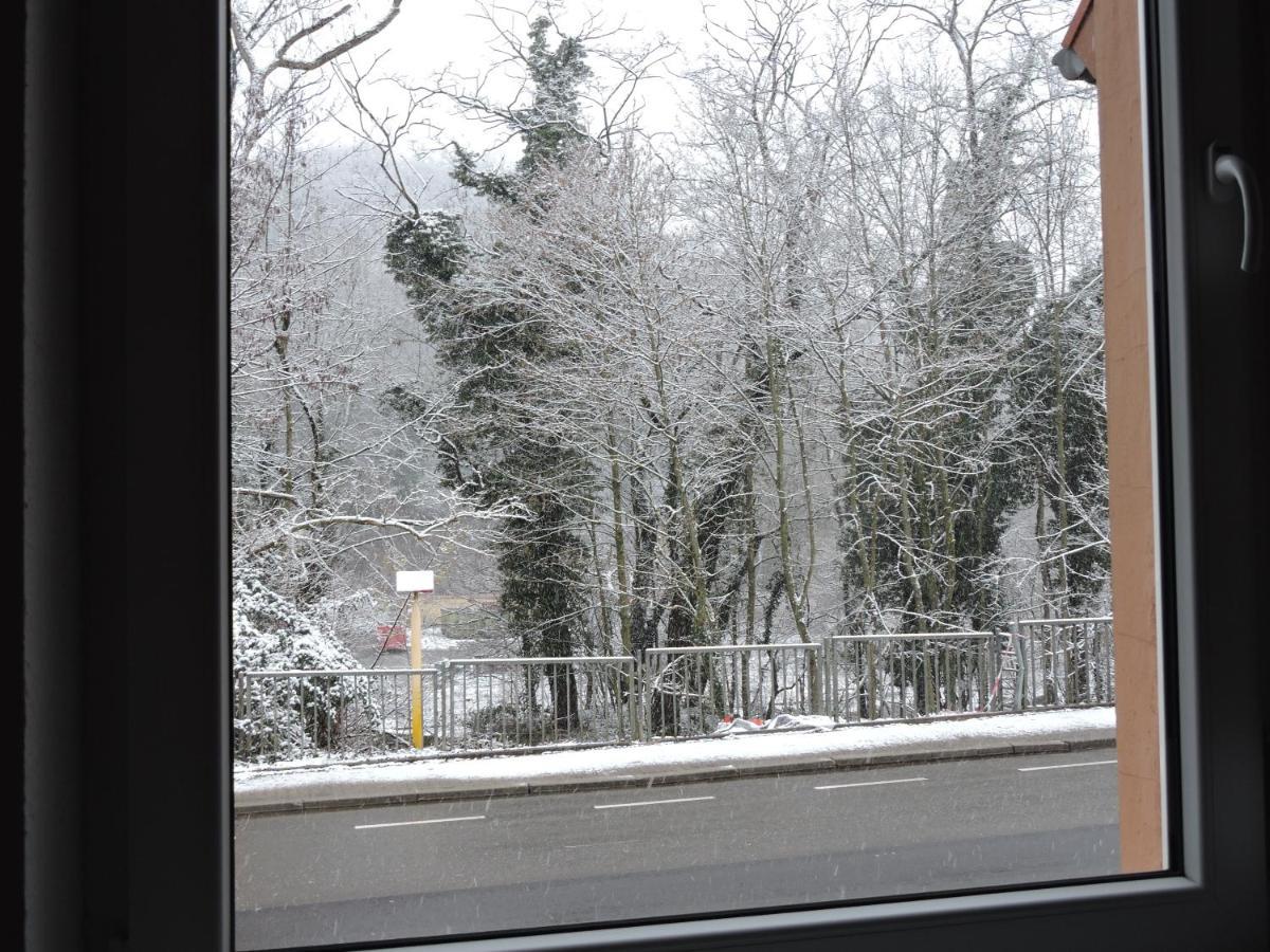Ferienwohnungen Haus Scheidter 42 Saarbrücken Zewnętrze zdjęcie